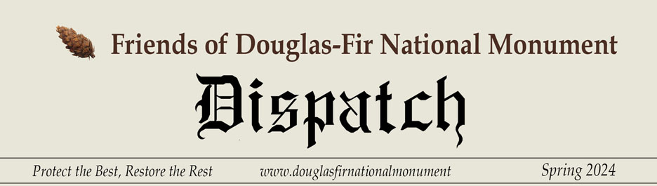 masthead graphic